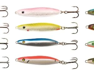 Magic Minnow Goby